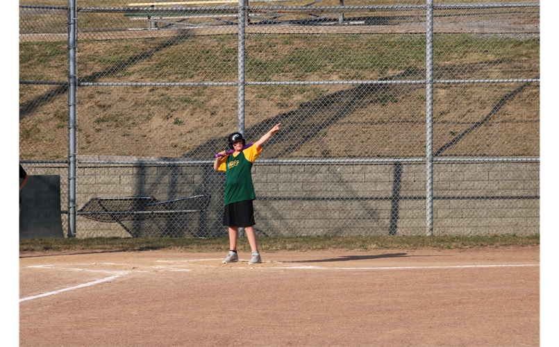 Out of the Park