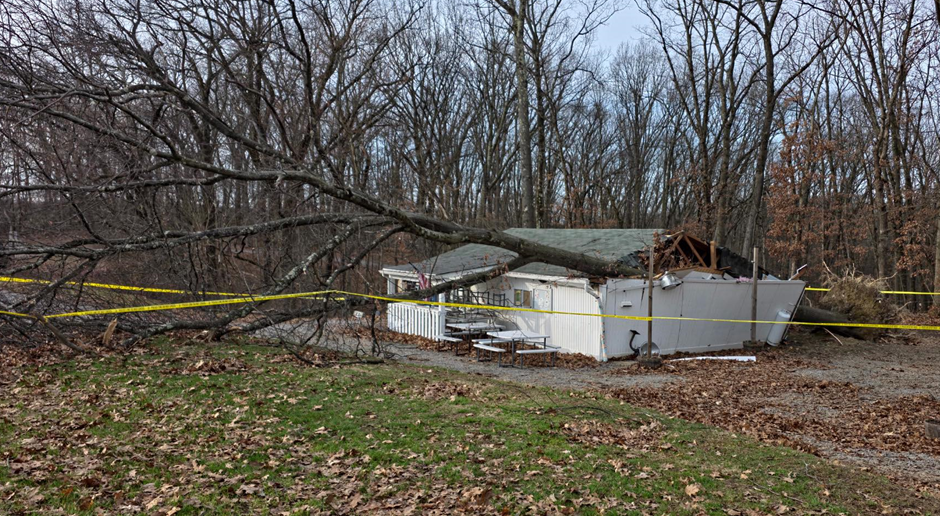 Support DLYBA - Donate Now